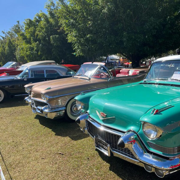 480488275_1066023651995031_7365891931745935095_n