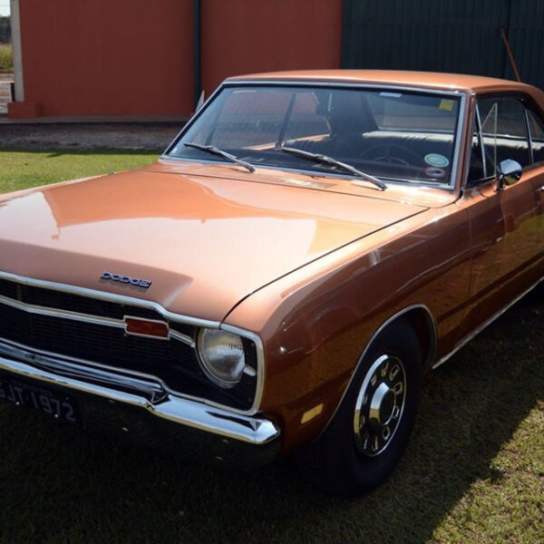 64. 23_08_2017 Faixa Branca participa do Bonanza Fly-in(4)